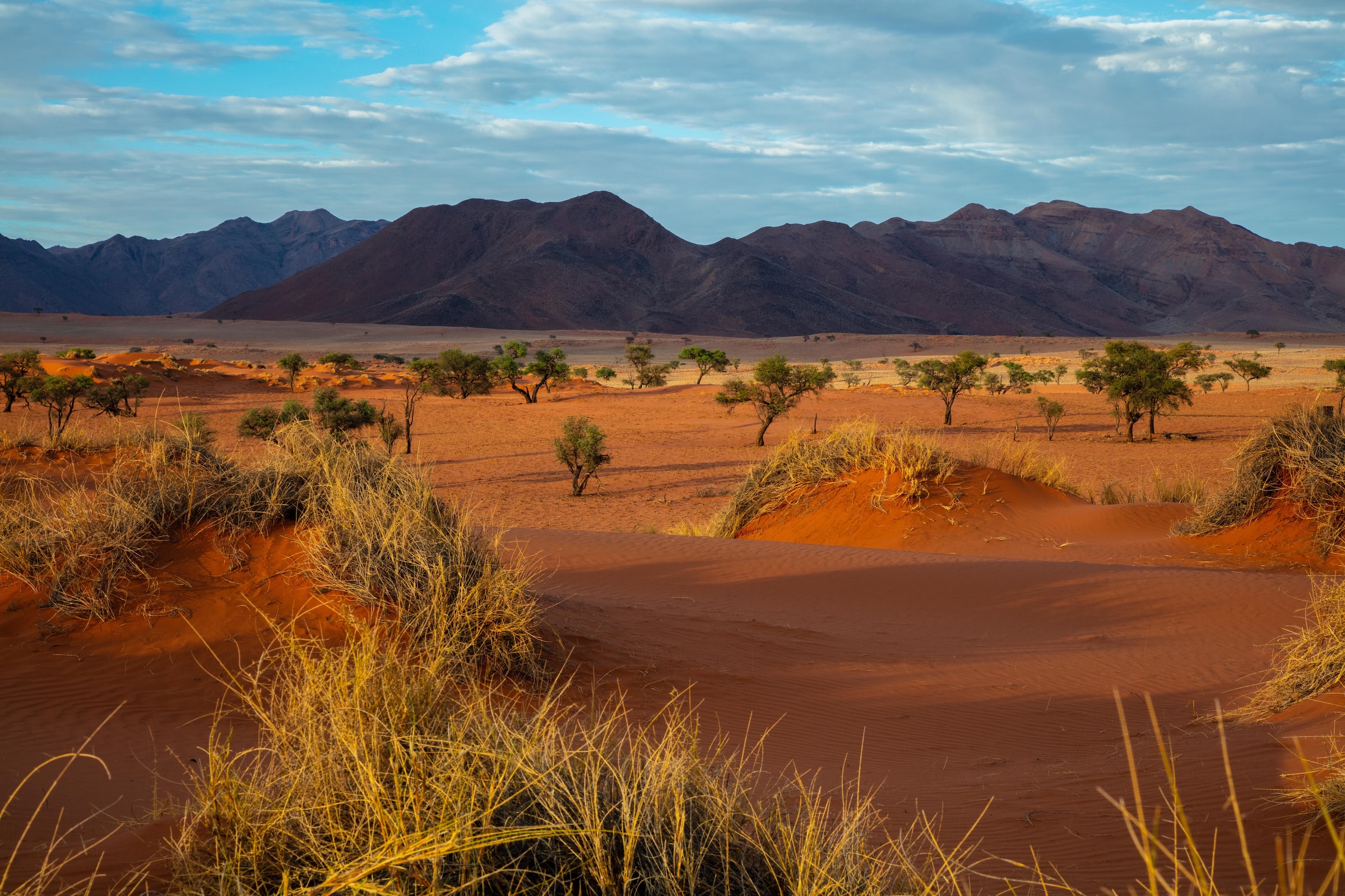 Namibie paysages